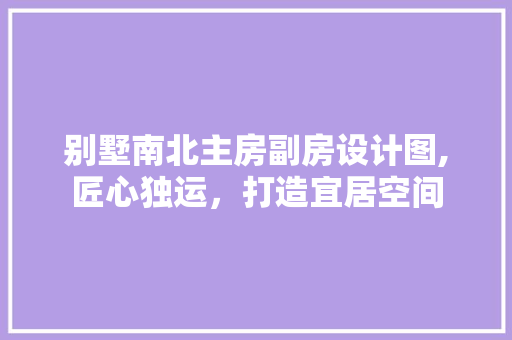 别墅南北主房副房设计图,匠心独运，打造宜居空间