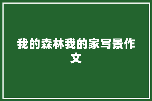 易厨房改造,打造温馨舒适的家居新中心