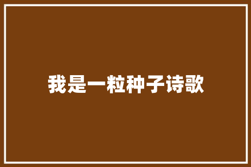 春熙路民房改造,城市更新的典范与启示