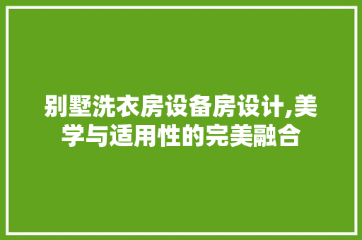别墅洗衣房设备房设计,美学与适用性的完美融合