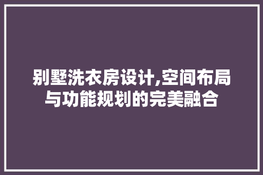 别墅洗衣房设计,空间布局与功能规划的完美融合