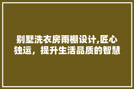 别墅洗衣房雨棚设计,匠心独运，提升生活品质的智慧之选