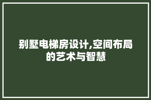 别墅电梯房设计,空间布局的艺术与智慧