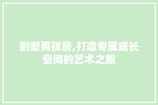 别墅男孩房,打造专属成长空间的艺术之旅
