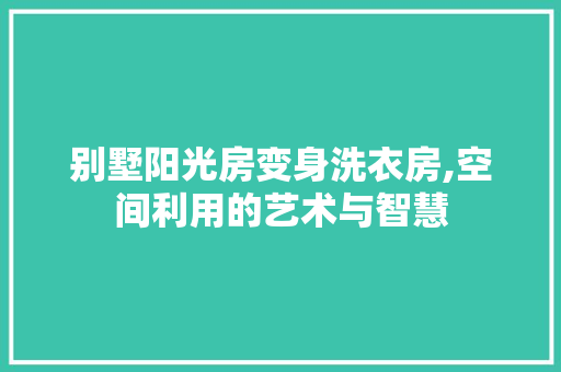 别墅阳光房变身洗衣房,空间利用的艺术与智慧