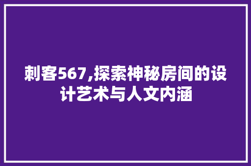 刺客567,探索神秘房间的设计艺术与人文内涵