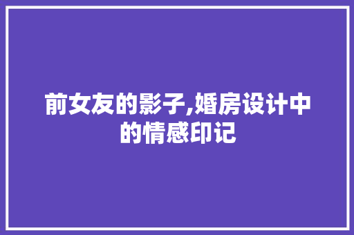 前女友的影子,婚房设计中的情感印记
