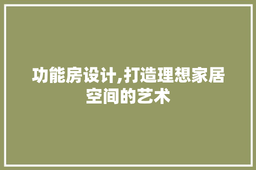 功能房设计,打造理想家居空间的艺术