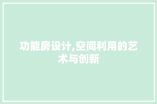 功能房设计,空间利用的艺术与创新