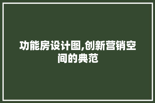 功能房设计图,创新营销空间的典范