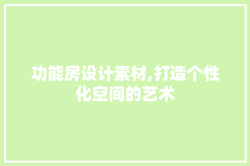 功能房设计素材,打造个性化空间的艺术