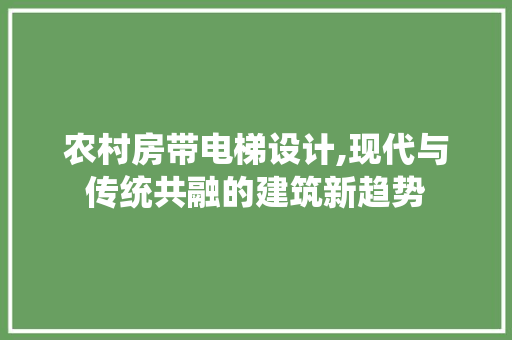 农村房带电梯设计,现代与传统共融的建筑新趋势