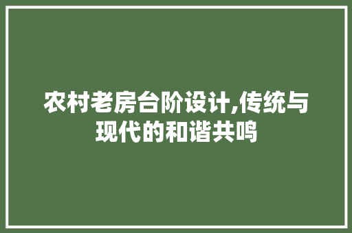 农村老房台阶设计,传统与现代的和谐共鸣