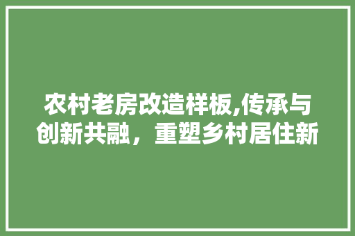 农村老房改造样板,传承与创新共融，重塑乡村居住新体验