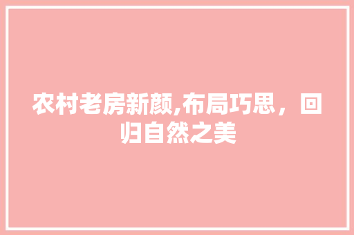 农村老房新颜,布局巧思，回归自然之美