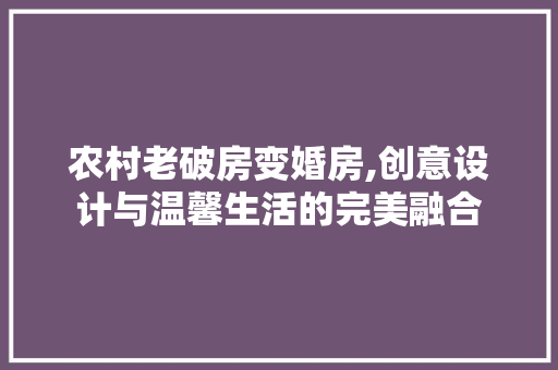 农村老破房变婚房,创意设计与温馨生活的完美融合