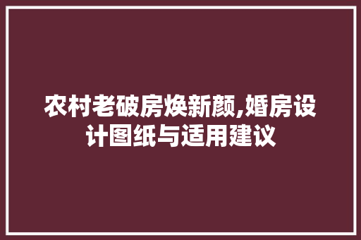 农村老破房焕新颜,婚房设计图纸与适用建议