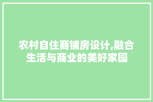 农村自住商铺房设计,融合生活与商业的美好家园