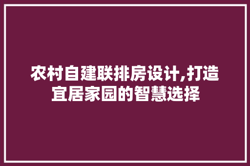 农村自建联排房设计,打造宜居家园的智慧选择