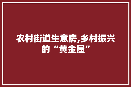 农村街道生意房,乡村振兴的“黄金屋”