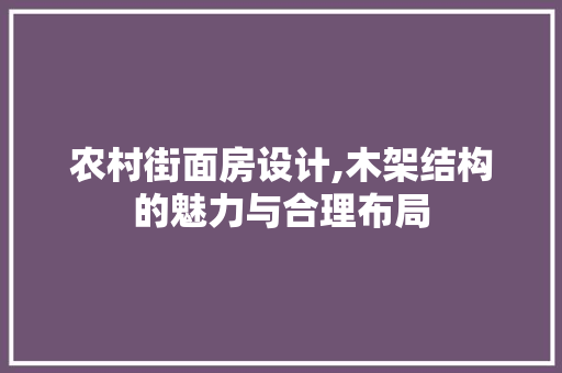 农村街面房设计,木架结构的魅力与合理布局