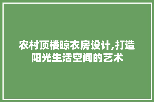 农村顶楼晾衣房设计,打造阳光生活空间的艺术
