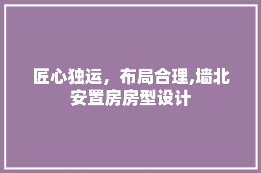 匠心独运，布局合理,墙北安置房房型设计