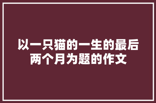 木头房改造加高,旧屋焕新颜，传统与现代的和谐交融