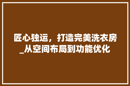 匠心独运，打造完美洗衣房_从空间布局到功能优化