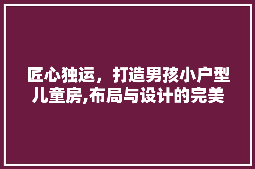 匠心独运，打造男孩小户型儿童房,布局与设计的完美融合