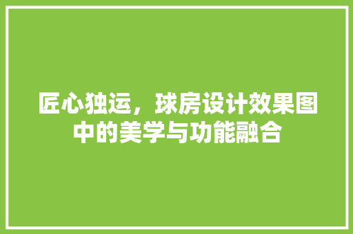 匠心独运，球房设计效果图中的美学与功能融合
