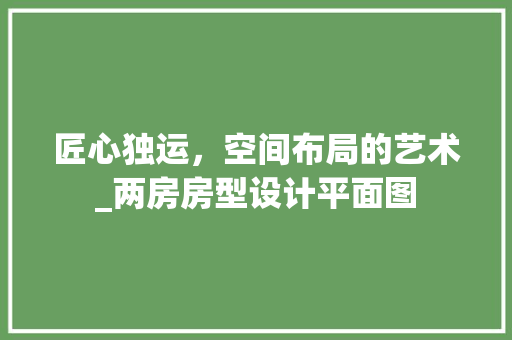 匠心独运，空间布局的艺术_两房房型设计平面图
