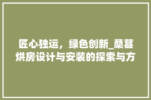 匠心独运，绿色创新_桑葚烘房设计与安装的探索与方法