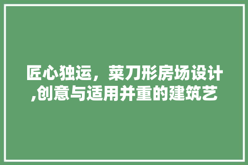 匠心独运，菜刀形房场设计,创意与适用并重的建筑艺术