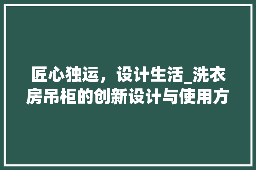 匠心独运，设计生活_洗衣房吊柜的创新设计与使用方法