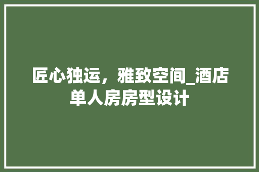 匠心独运，雅致空间_酒店单人房房型设计