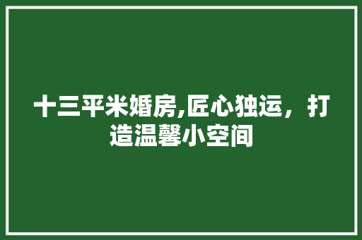十三平米婚房,匠心独运，打造温馨小空间