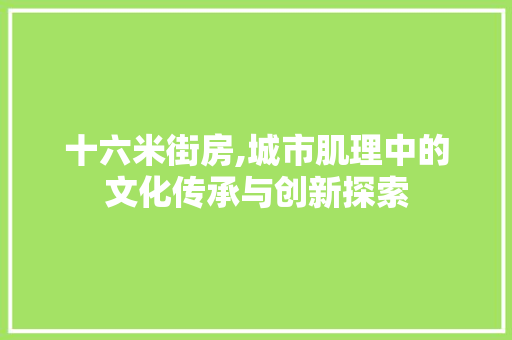 十六米街房,城市肌理中的文化传承与创新探索