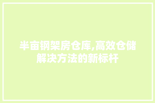 半亩钢架房仓库,高效仓储解决方法的新标杆