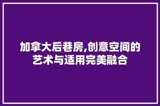 加拿大后巷房,创意空间的艺术与适用完美融合
