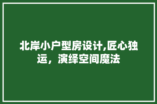 北岸小户型房设计,匠心独运，演绎空间魔法
