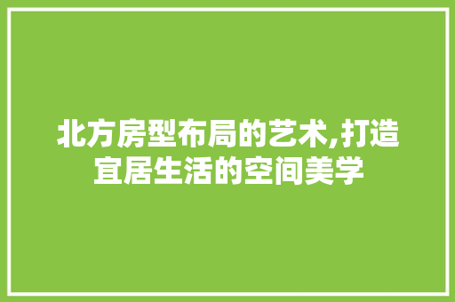 北方房型布局的艺术,打造宜居生活的空间美学