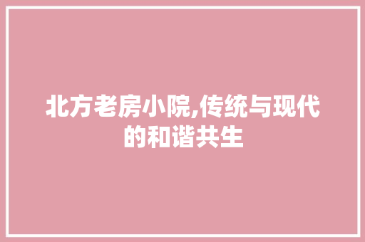 北方老房小院,传统与现代的和谐共生