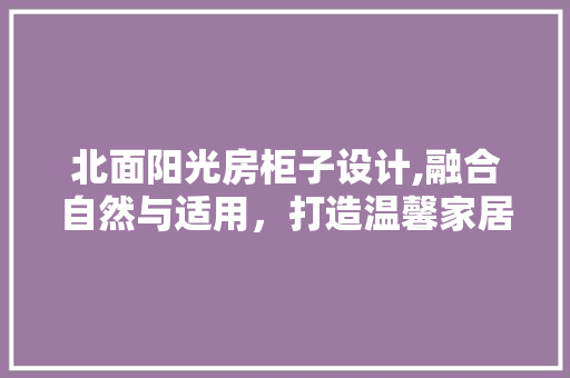 北面阳光房柜子设计,融合自然与适用，打造温馨家居空间