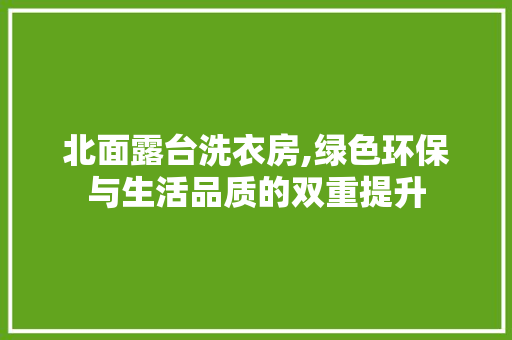 北面露台洗衣房,绿色环保与生活品质的双重提升
