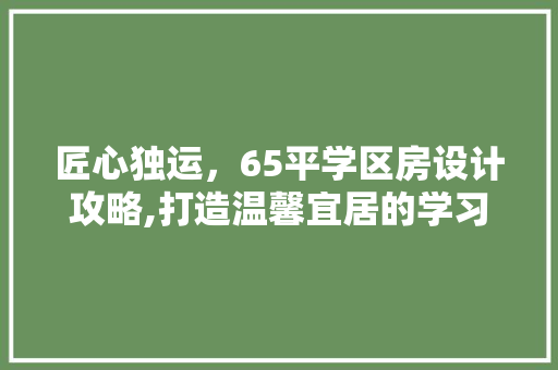 匠心独运，65平学区房设计攻略,打造温馨宜居的学习乐园