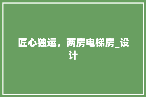 匠心独运，两房电梯房_设计