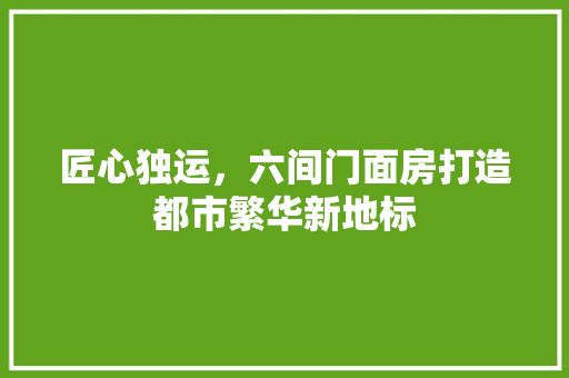 匠心独运，六间门面房打造都市繁华新地标