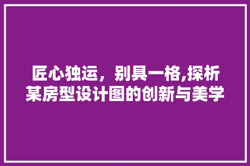 匠心独运，别具一格,探析某房型设计图的创新与美学