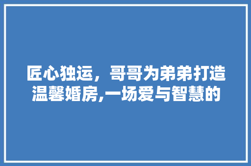 匠心独运，哥哥为弟弟打造温馨婚房,一场爱与智慧的交融